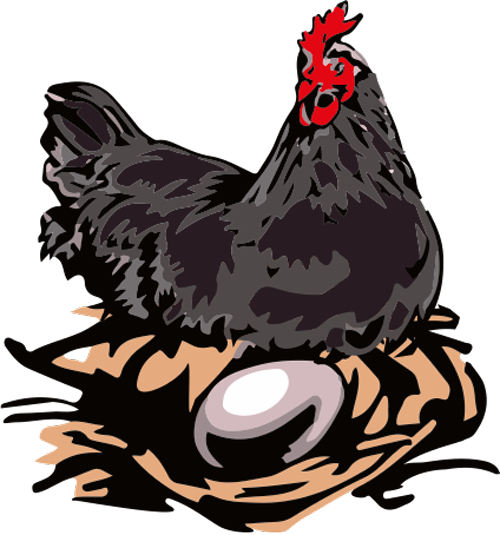 Huhn-mit-Ei-web